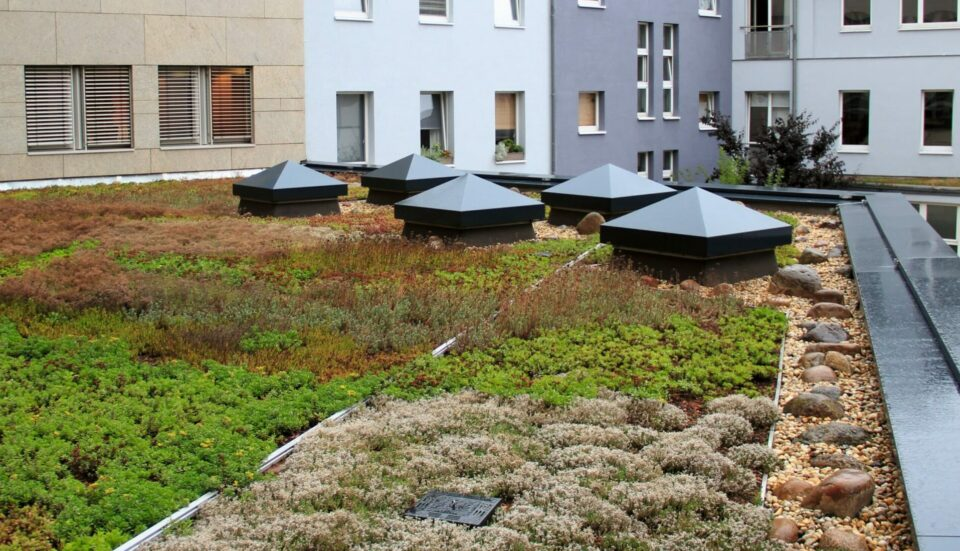 Blauwgroen dak – retentiedak met vegetatie